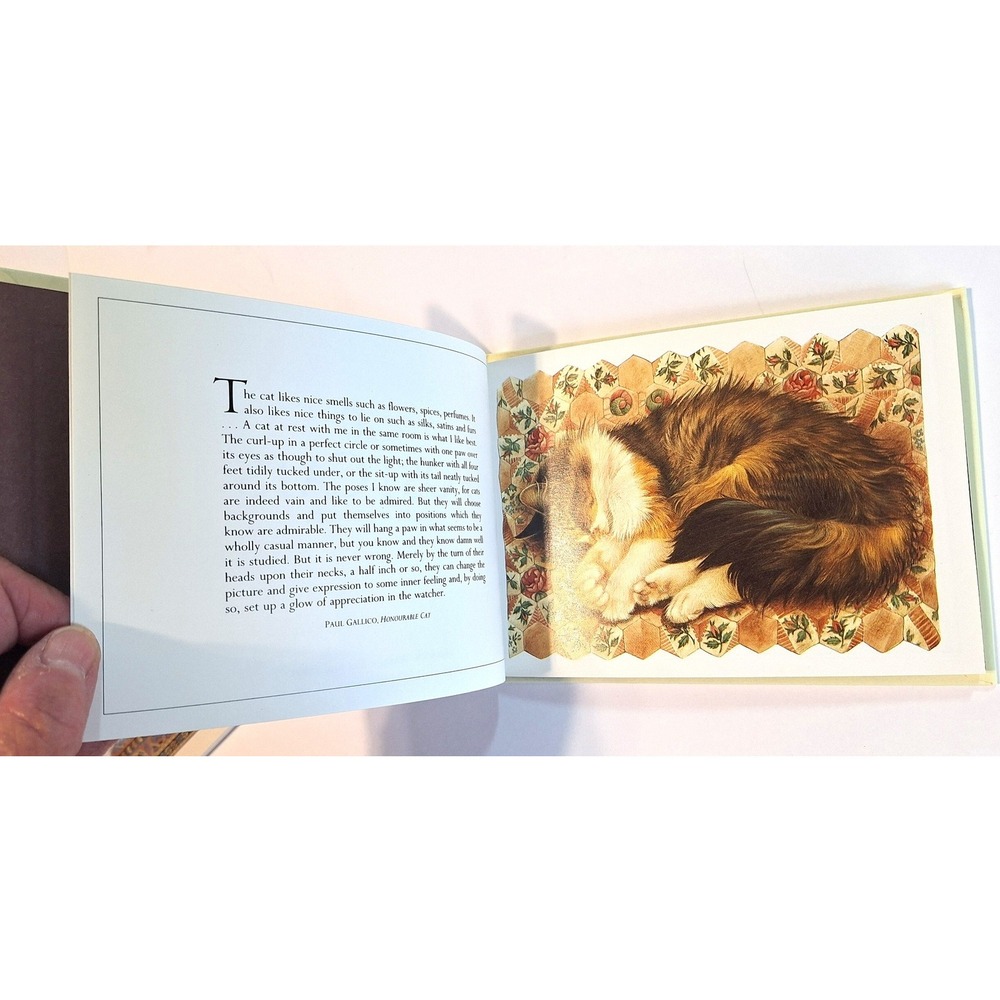 Lesley Anne Ivory PostCats Book and 15 Postcard Set Sealed 1989 First Edition - Picture 7 of 8